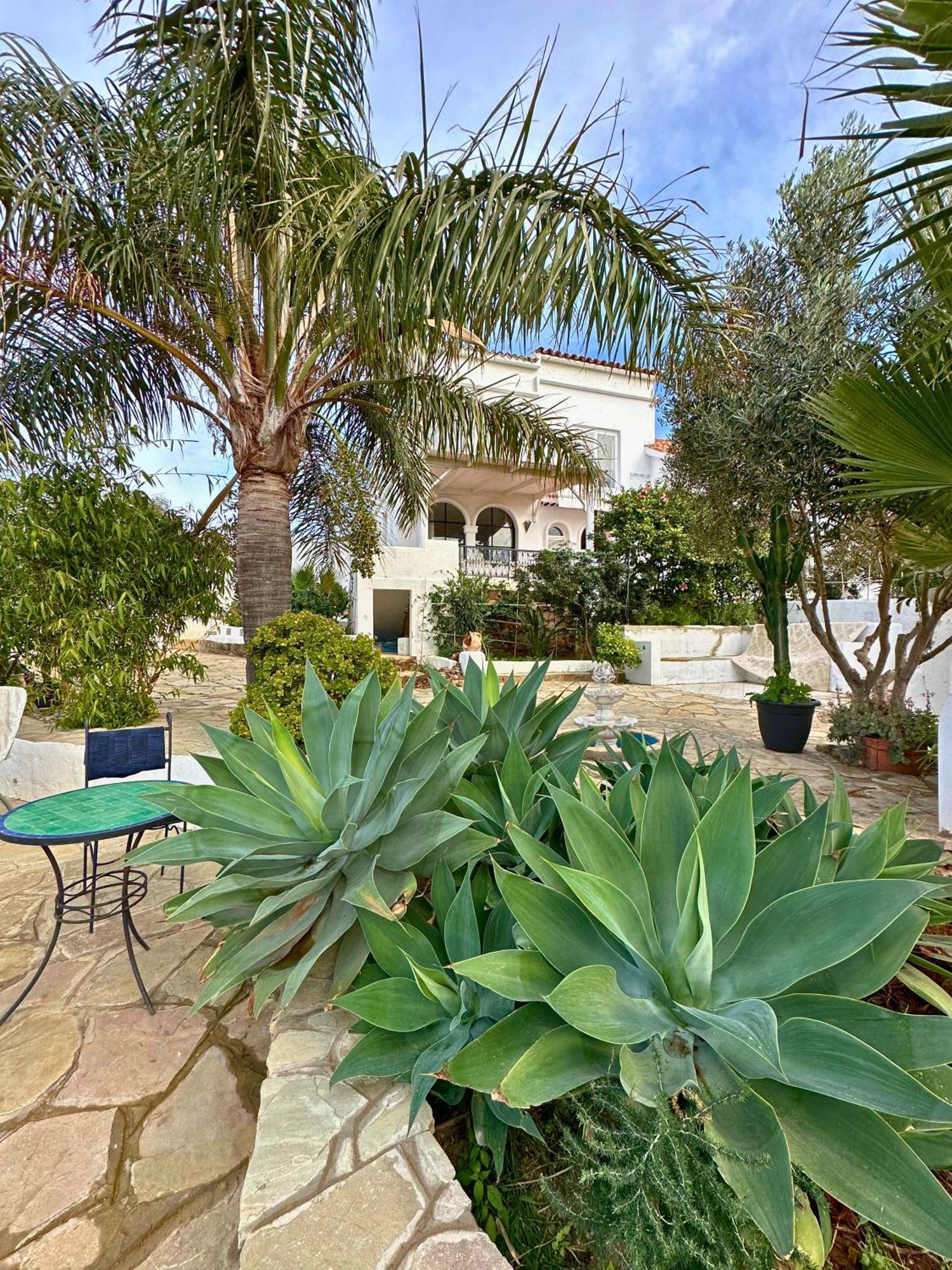 La Finca - 3Br Seaside Villa With Private Pool & Bbq 탕헤르 외부 사진